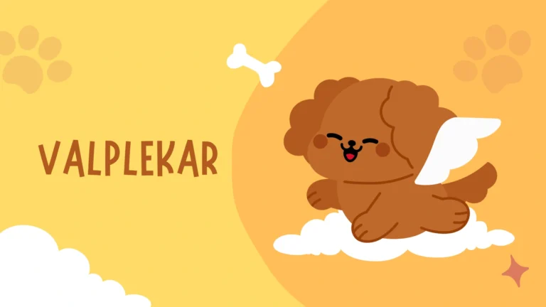 Valplekar